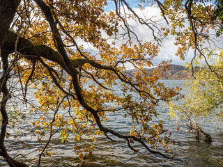 Herbst