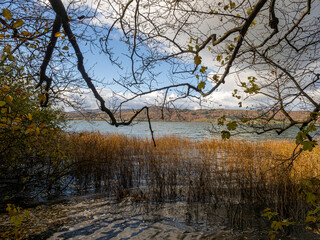 Fototapeta premium Herbst