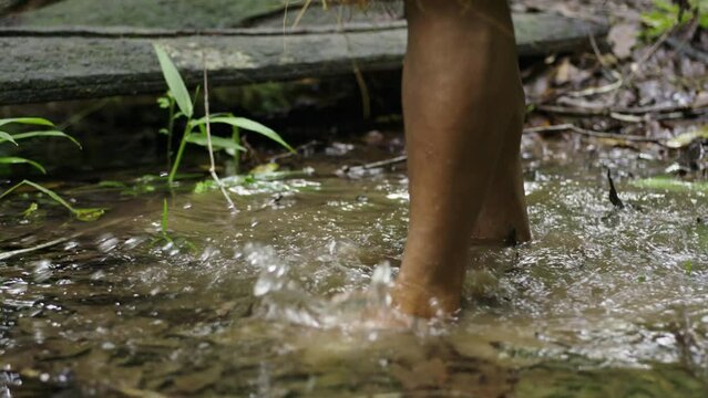 Footsteps of native people walking along a waterlogged path in the dense forest in Leticia, Amazon, Colombia