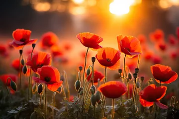 Abwaschbare Fototapete Beautiful poppy field in the sun. Generated by artificial intelligence © Vovmar