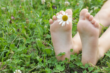 Child feet on green grass, barefoot little girl on meadow, countryside lifestyle, concept of...