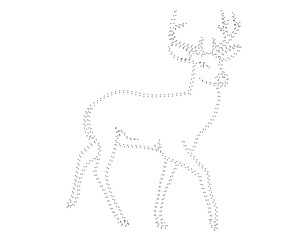 Deer art illustration
