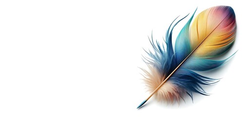 Colorful feather on white background