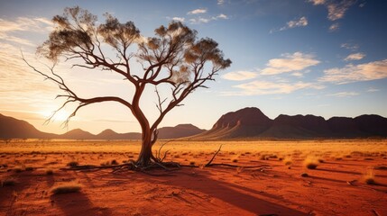 Fototapeta na wymiar beauty of the Australian Outback. Weather conditions are dry, causing the landscape to take on a deep, sun-baked hue, the long shadows creating stark contrasts.