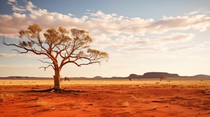 beauty of the Australian Outback. Weather conditions are dry, causing the landscape to take on a deep, sun-baked hue, the long shadows creating stark contrasts.