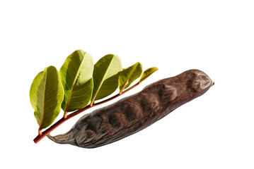A ripened bean and leaves of the carob tree (Ceratonia siliqua) in the autumn. - obrazy, fototapety, plakaty