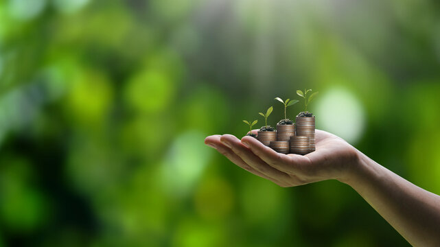 Green business ideas for finance and investment A sapling grew on top of a hand holding a pile of silver coins. Carbon credits. green taxation