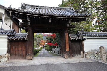  A Japanese temple : the scene to an entrance gate to the precincts of Zuishin-in Temple in Kyoto City 日本のお寺：京都市の随心院境内の入り口門の風景
