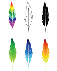 Feather Quill Different Colors. A variety of multi colored writing bird feathers