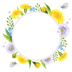 watercolor wreath with summer field flowers, hand draw round frame of yellow dandelions and blow balls, leaves, herbs, butterfly on white background