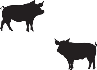 Pig graphic icon. Pig black silhouette isolated on white background