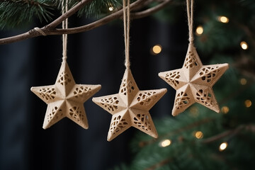 Christmas tree decorations in eco style