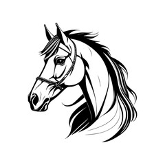 horse head silhouette isolated on white, horse mascot  isolated on white background, horse Black illustration 