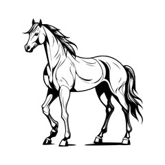 Obraz na płótnie Canvas horse isolated on white background