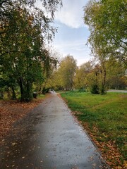 Fototapeta na wymiar path in the autumn park