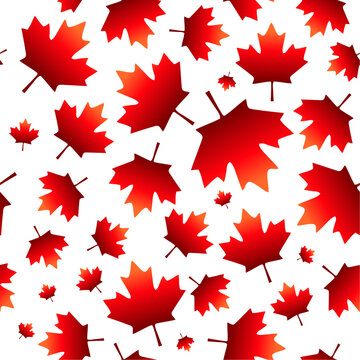 Beautiful seamless Canadian pattern. Maple leaf of different sizes. Design elements for Canada Day postcards.