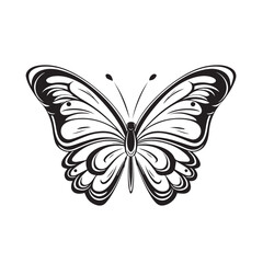 Butterfly in cartoon, doodle style. Isolated 2d vector illustration in logo, icon, sketch style, Eps 10. AI Generative