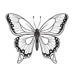Butterfly in cartoon, doodle style. Isolated 2d vector illustration in logo, icon, sketch style, Eps 10. AI Generative