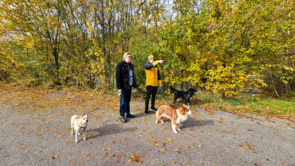Herbstspaziergang mit Hunden