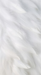 Obraz premium a white feather, white texture background