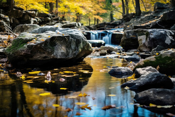 Obraz na płótnie Canvas Flow of a mountain stream in the autumn forest