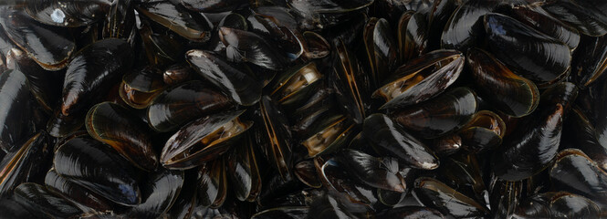 Raw Mussels Texture Background, Fresh Shellfish Seafood Pattern, Black Mussels Mockup, Raw Cold...
