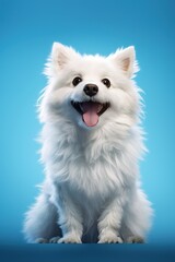 Fluffy dog cartoon character sitting with a big smile, on a sky blue studio background