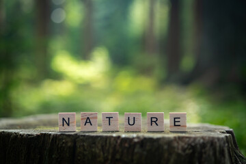 Sign "Nature" made of small wooden blocks standing on the wooden stump in the lush green forest.