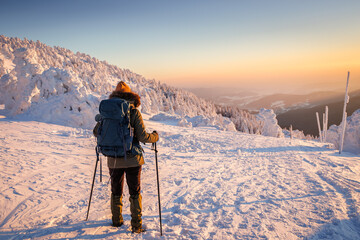 Woman with backpack and nordic walking poles trekking in cold weather. Hiking in snow at winter mountain during sunset. Sports and outdoors seasonal activity - obrazy, fototapety, plakaty