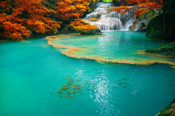 Hot Springs Onsen Natural Bath is Surrounded by red-yellow leaves. In fall leaves, Waterfall among...