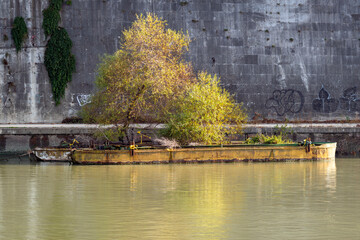 Péniche amarrée le long du Tibre à Rome