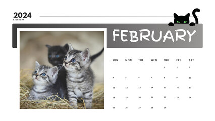 Kitten Calendar 2024 February