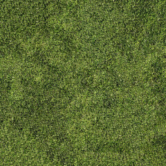 Top view of green grass with a short-cropped texture