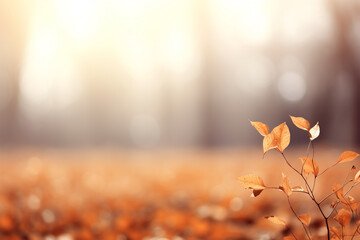 Goldener Herbstzauber - Ein abstrakter Bokeh-Hintergrund fängt die warmen Lichtmomente des Herbstes in einer magischen und gemütlichen Atmosphäre ein