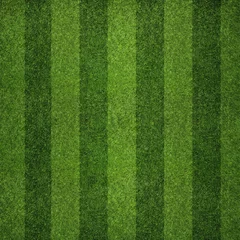Gordijnen Short-cropped green grass with a large stripe top view © mastak80