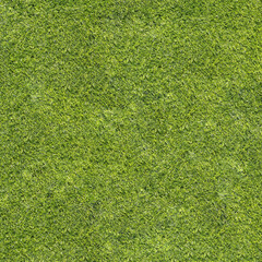 Trampled green grass close-up view from above