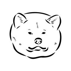 Japanese akita inu dog, vector outline illustration