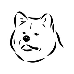 Japanese akita inu dog, vector outline illustration