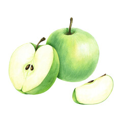 A composition with green apple and slices. Hand drawn botanical watercolor illustration isolated on white background. For clip art, cards, menu, label
