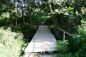 Wooden bridge in the forest. Walkway in the forest.