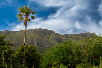 Fototapeta na wymiar View of the famous Table Mountain, Cape Town, South Africa