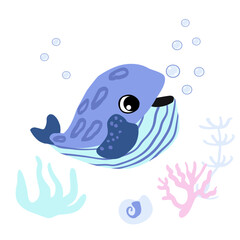 Cute Minke whale with bubbles, seashells and seaweed underwater. Vector illustration of marine life character