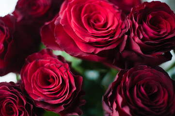bouquet of roses on white background