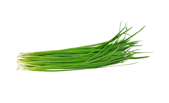 Chinese chives, Garlic chives transparent png