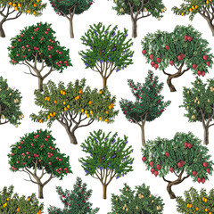 Seamless pattern with fruit trees