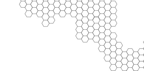 Abstract background with hexagon, modern abstract vector polygonal pattern. Futuristic abstract honeycomb technology white background. Luxury white hexagon pattern.