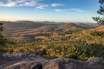 Landscape shot on a sandstone rock in the forest. Morning mood at sunrise at a viewpoint. A small...