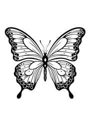smooth butterfly outline vector art