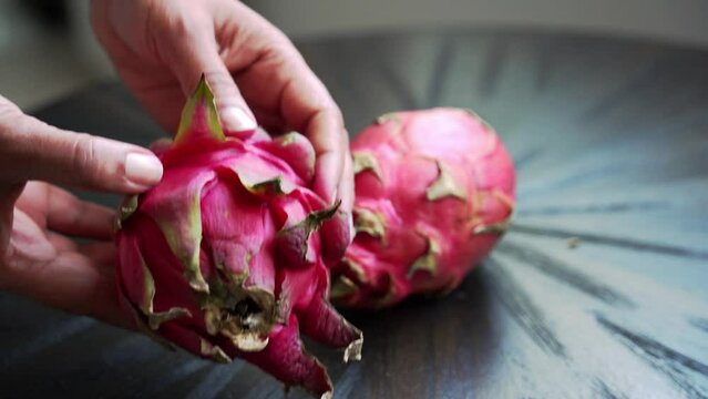 Woman's hands displaying red dragon fruit to camera Red Dragon Fruit Slices and Cultivating Exotic Plants pitaya