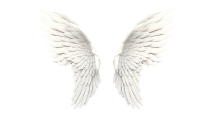 Realistic wings. A pair of white angel wings with 3D feathers isolated on a transparent background. PNG file.